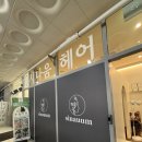 나주 헤드스파 추천 시나움헤어 두피관리 후기 🌿