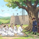 해미밧데리 | 서산 해미읍성 여행 가이드, 역사와 힐링을 동시에 잡는 법