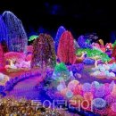 서울라본병원 이미지