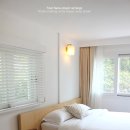 나무의 꿈 이미지