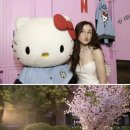 엑스오엑스오스튜디오 이미지