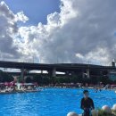 다둥이도시락 이미지