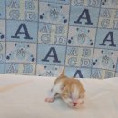 구암동451 이미지