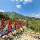 산청 - 순천시 | 산청