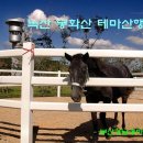 6월 15일(일) 녹산 봉화산 산행공지 이미지