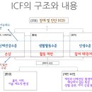 질병과 신체장애가 아닌 삶의 참여, 구체적 기능으로 이해하기 이미지