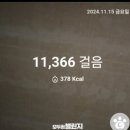 홍시약국 이미지
