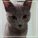 리라동물병원 이미지