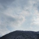 보현산자연휴양림 이미지