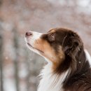 행복할 이유를 찾아드립니다 이미지