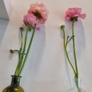 동일카셀프세차장 이미지