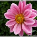 낙동강변2 이미지