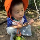 용두농장 이미지