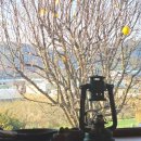 여기광암 | 분위기 좋은 창원 마산합포구 진동 광암해수욕장 근처 한식 브런치 카페 : 홍재