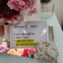 륜플레르 | 용인 촬영 부케는 륜플레르에서 인생 웨딩부케를 만나다