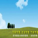 벌침상담 Daum카페