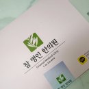 다이어트 한약 참명인한의원 감비환 5개월 복용 10kg감량 내돈내산 솔직후기