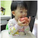 건후컴 | [청송만나사과]꿀맛 사과 청송사과 너무 맛있어요^^