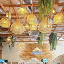 반 치앙마이 이미지