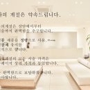 나의계절의원 이미지