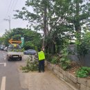 솔터초교 이미지