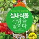 꽃카페투유