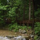 계명유치원 이미지