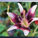 융한의원 이미지