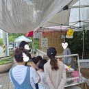 정수닭강정 | 룰루랄라 구미 요일별 장날 구경 후기, 시장 닭강정은 언제나 맛나요!