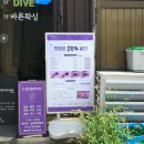 썸테라피 | 신림 속눈썸펌 눈썹문신 리현드림 노글루 수분테라피펌 솔직 후기