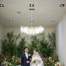 린다플랜트