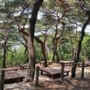 소나무집민박 이미지