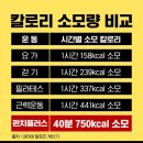 송정 복싱 네이버블로그