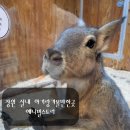 내서읍1320 이미지