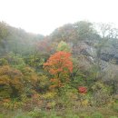 동강의품속 이미지