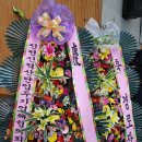 (주)내츄럴스푸드 이미지