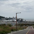 봉화강아지마을 | 부산 기장군 절 세 곳 순례 — 부처님오신날 특별 후기