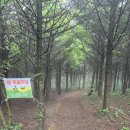 평창(하)휴게소 | [백두대간선자령]대관령 최단코스, 소요시간, 난이도, 맛집