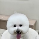 하이벨몽 이미지