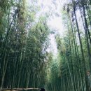 남강공원 이미지