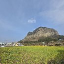 형제부동산공인중개사사무소 이미지