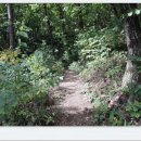 오투(O2) 이미지