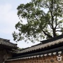 고산윤선도유적지 이미지