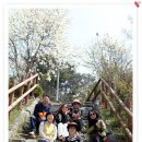 더따숨걷기 #153차 4월 8일(토)- 군산은파유원지&월명공원 이미지