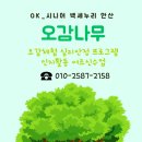 백세누리라이프케어
