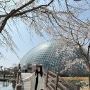 거제남서로 | [경남 거제도] 아바타 정글인줄, 아이랑도, 데이트로도 완벽했던 '거제 식물원(정글돔)' 후기