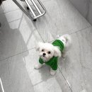 에이바 헤어 용현점