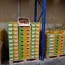 (주)골드레몬 이미지