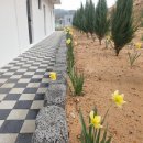 아리아사천풀빌라 이미지