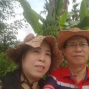 진흥명품세탁 이미지